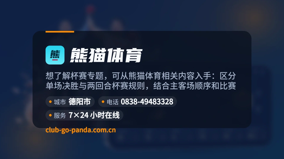 熊猫体育简介